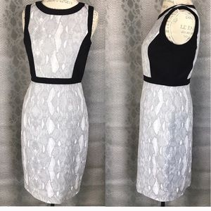 Calvin Kline Gray and Black Accent Reptile Dress